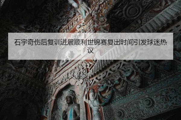 石宇奇伤后复训进展顺利世锦赛复出时间引发球迷热议